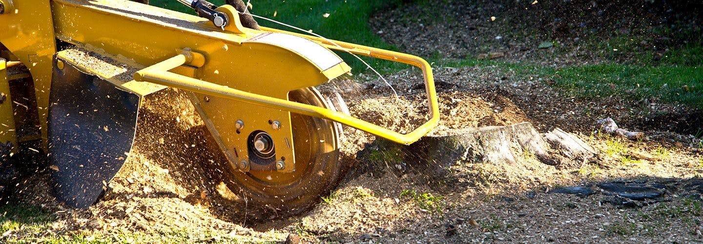 Picture of stump grinding