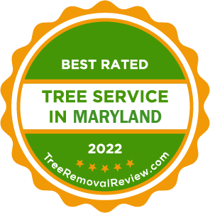A certificate from TreeRemovalReview.com with the text "Best rated tree service in Maryland"